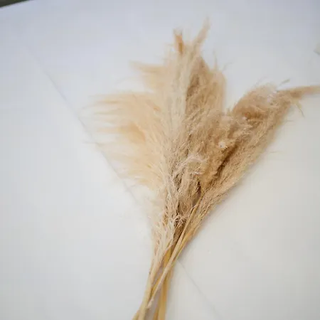 Ξενοδοχείο με διαμερίσματα Little Corfu 3*